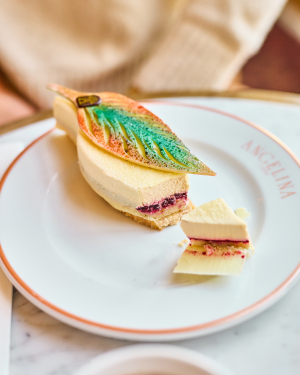 Things to do in Versailles France