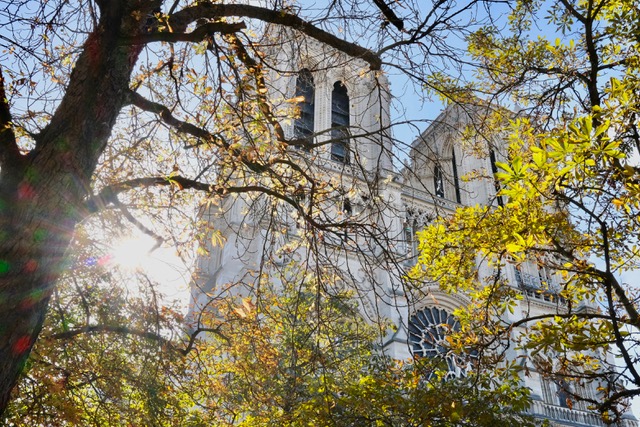 Notre Dame Cathedral, Paris Private Tour