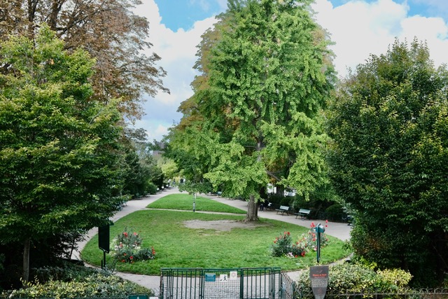 Squre du Vert Galant, Paris Private Tour