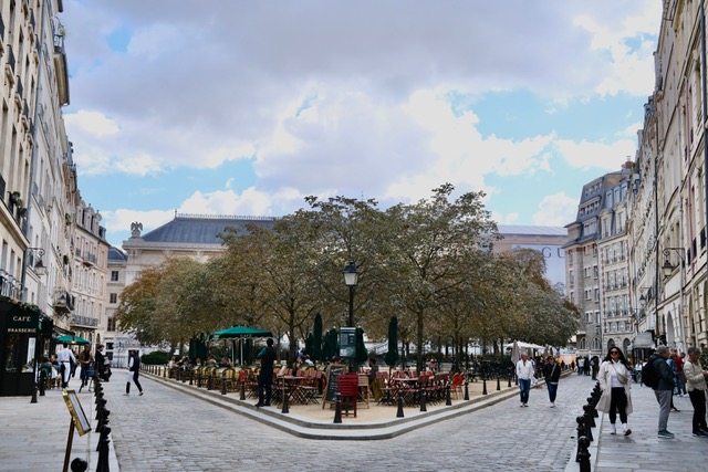 Place Dauphine, Paris Private Tour