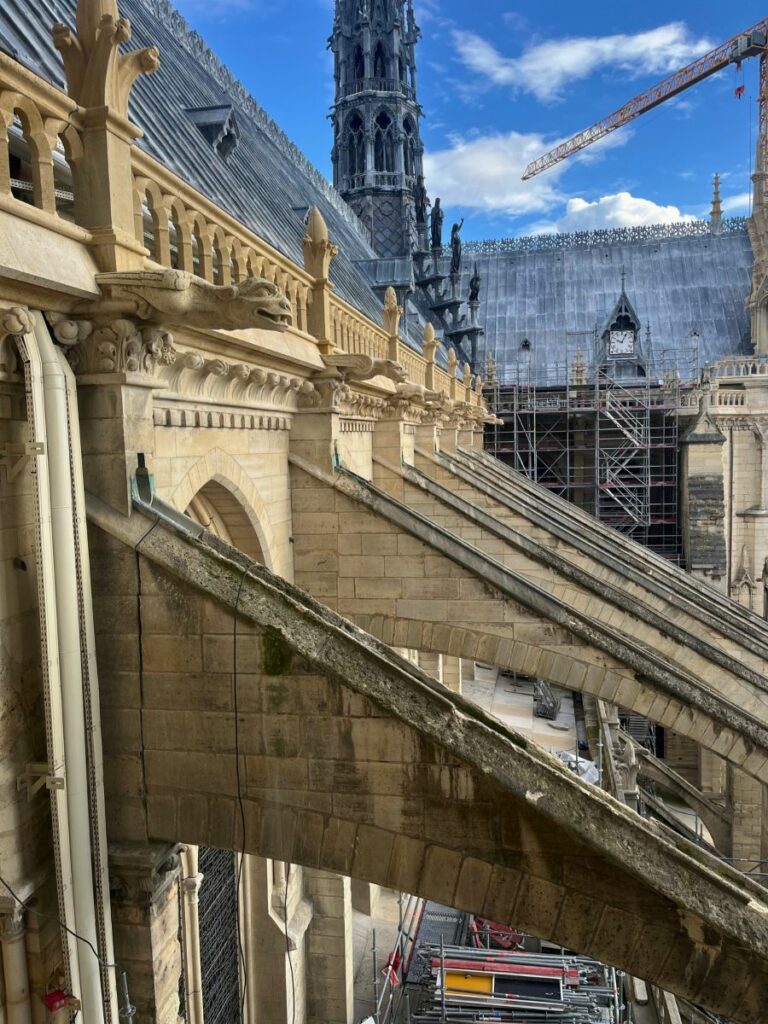 Gargoyles Paris Notre Dame