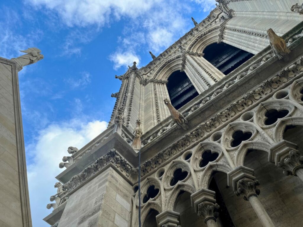 Gargoyles of Notre Dame Paris