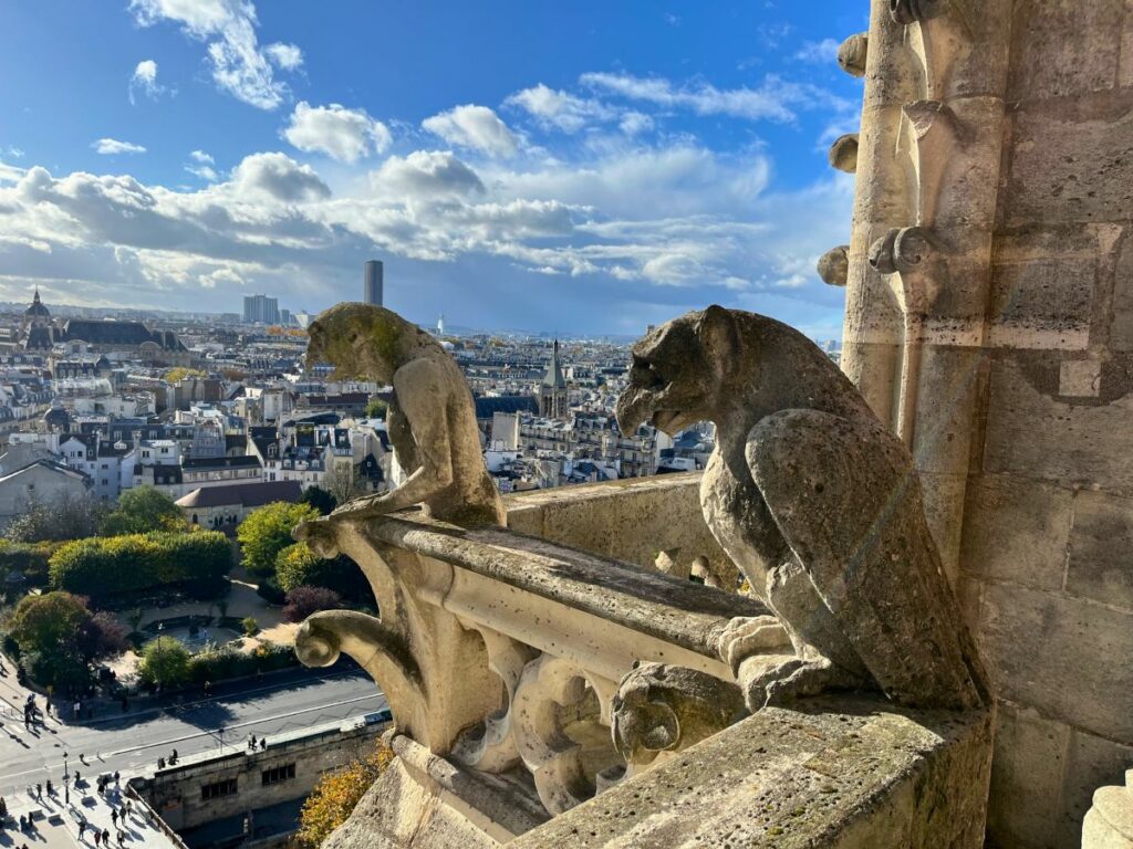 Gargoyles Paris Notre Dame