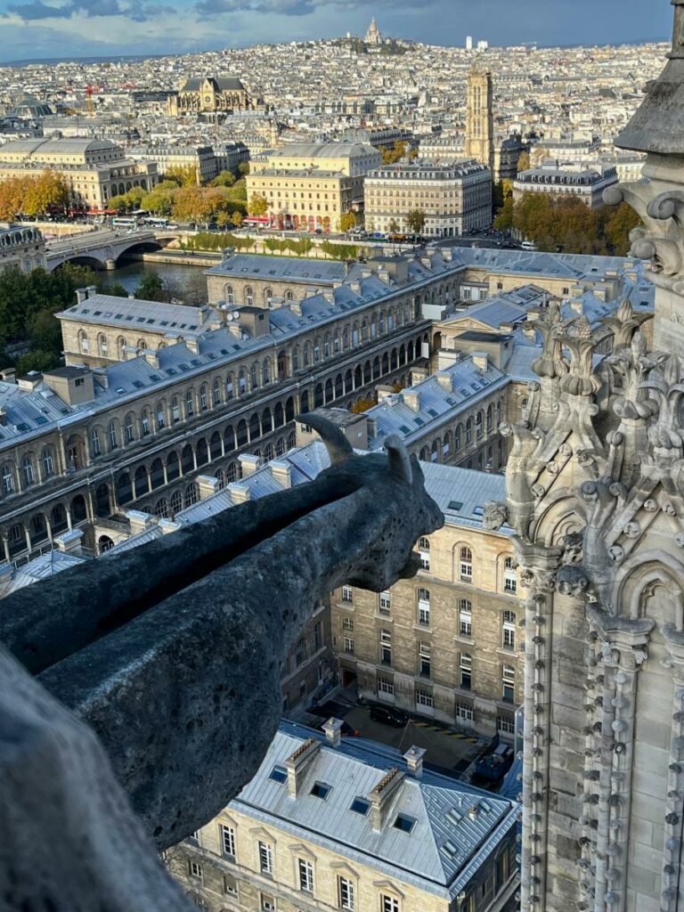 Gargoyles Paris Notre Dame