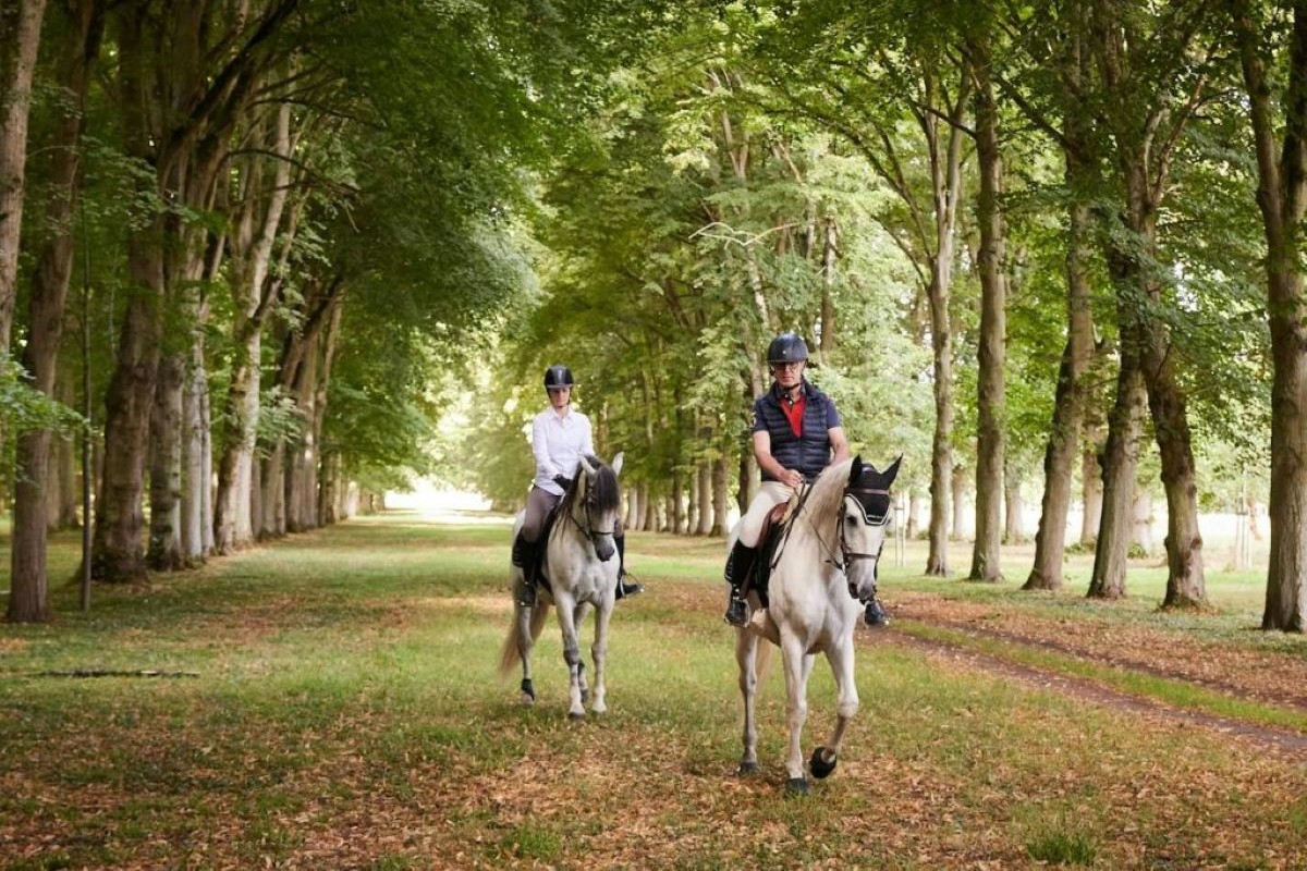 Things to do in Versailles