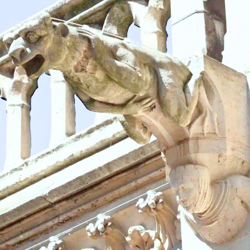 Notre Dame Cathedrals Gargoyles as Guardians of a Gothic Masterpiece