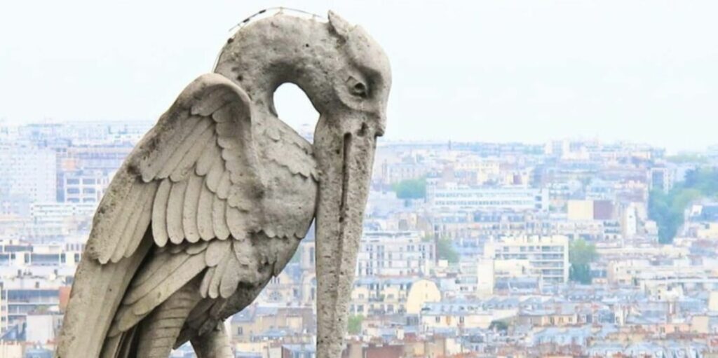 Pelican Gargoyle of Notre Dame de Paris
