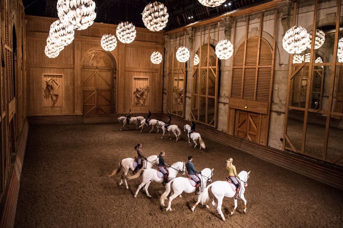 Things to do in Versailles France