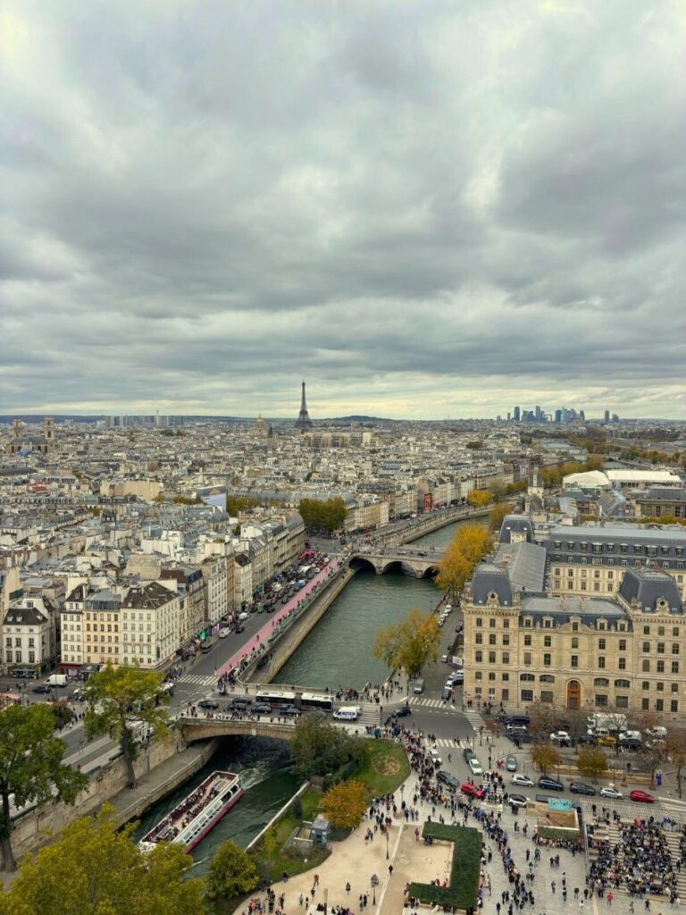 View from South Bell Tower Summit overlooking the Seine and Eiffel Tower